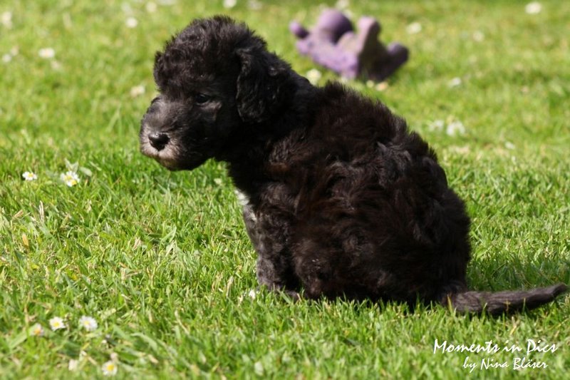 Arc-en-ciel Antares 2009-06-17 (17).JPG